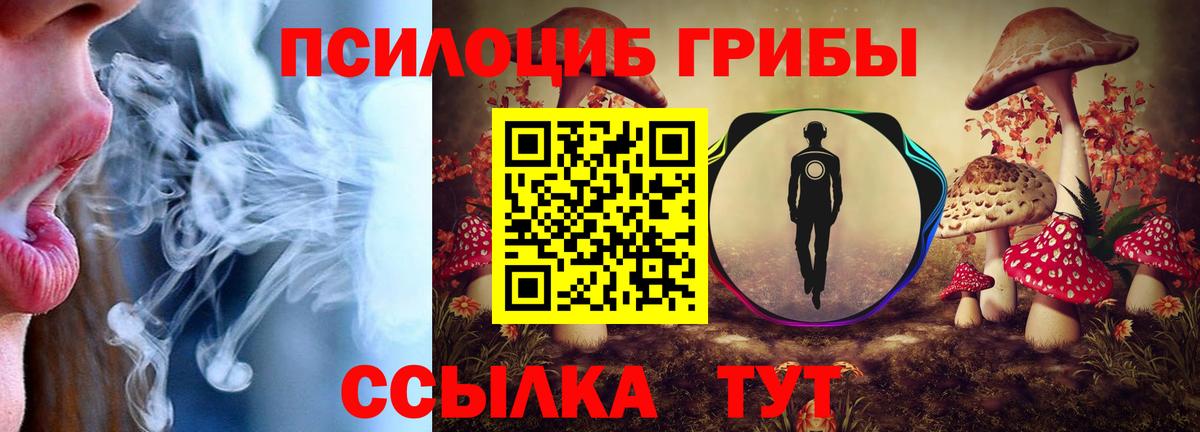 Псилоцибиновые грибы мухоморы  Вход с VPN  цены   Нижний Тагил 