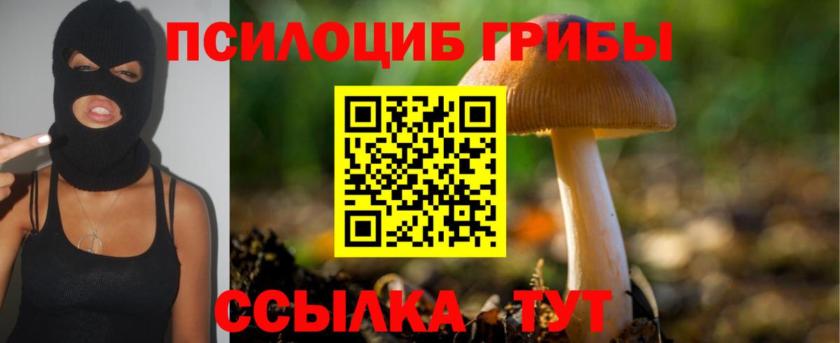 Псилоцибиновые грибы MAGIC MUSHROOMS Нижний Тагил